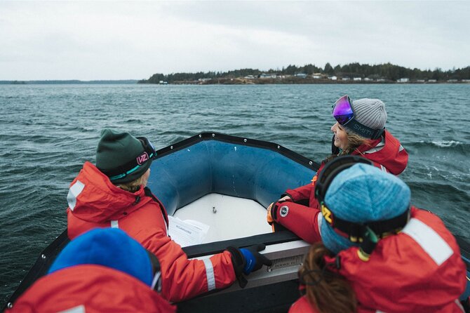 Sea Prince Rupert City and Harbour Shared Zodiac Tour - Wildlife in the Great Bear Rainforest