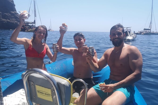 SEA SAFARI Dolphins, Whales, 3h speedboat DISCOVERY-TOUR - Key points to know before booking