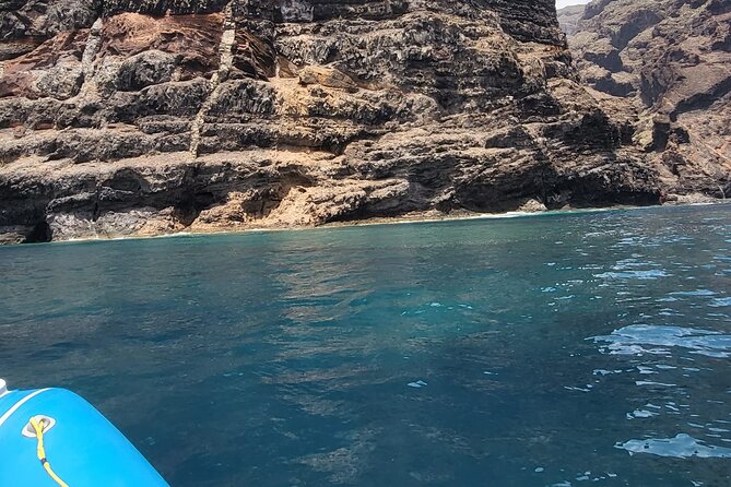 SEA SAFARI Dolphins, Whales, 3h speedboat DISCOVERY-TOUR - The swimming stop and included snorkeling gear