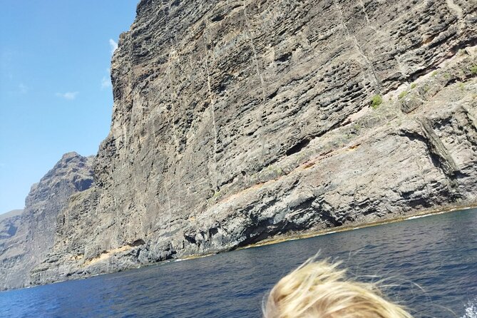 SEA SAFARI Dolphins, Whales, 3h speedboat DISCOVERY-TOUR - Trying the BladeFish underwater scooter
