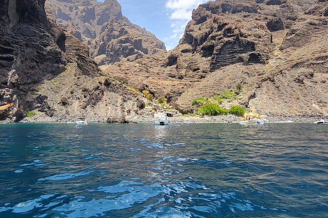 SEA SAFARI Dolphins, Whales, 3h speedboat DISCOVERY-TOUR - Watching dolphins and pilot whales at close range