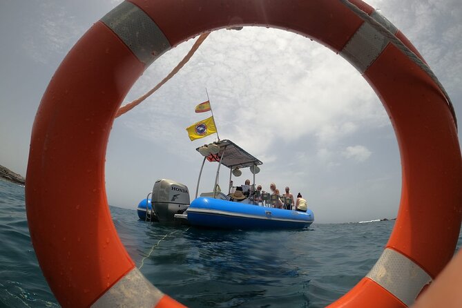 SEA SAFARI, Dolphins, Whales, snorkeling, snack and drink, 2 h speedboat - Price and Value at $54.13