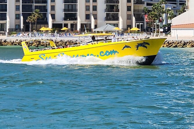 Sea Screamer Clearwater's Only Speed Boat Dolphin Watching - Key points to know before you go