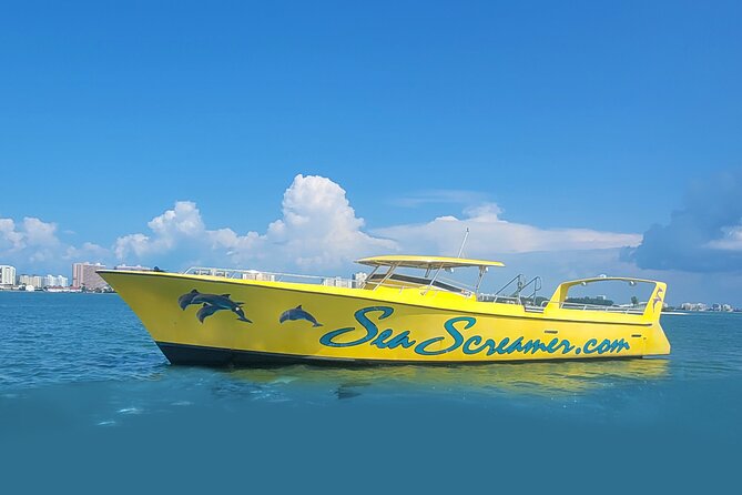 Sea Screamer Clearwater's Only Speed Boat Dolphin Watching - Clearwater’s speed boat dolphin ride