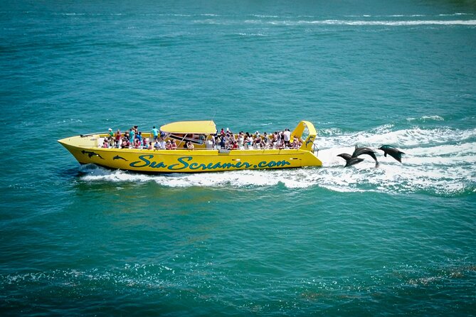 Sea Screamer Clearwater's Only Speed Boat Dolphin Watching - Searching the Gulf for dolphins