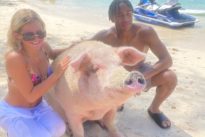 Self Drive Speedboat and Swim with the Pigs - Who will enjoy this most