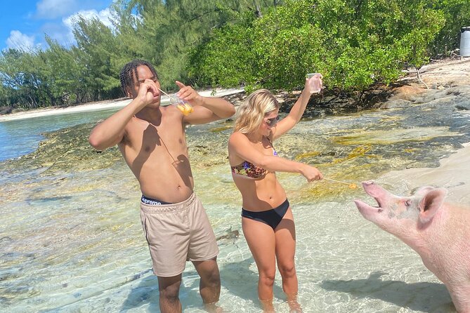 Self Drive Speedboat and Swim with the Pigs - Booking, cancellation, and weather details