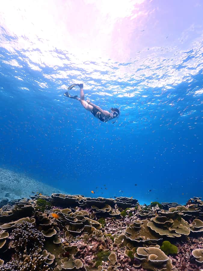 SIMILAN ISLAND BY SPEED BOAT FROM PHUKET - Key points to know before booking