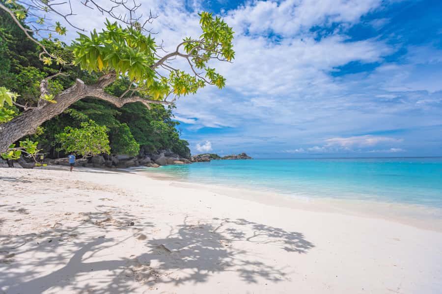 SIMILAN ISLAND BY SPEED BOAT FROM PHUKET - The early Phuket pickup and ride to the pier