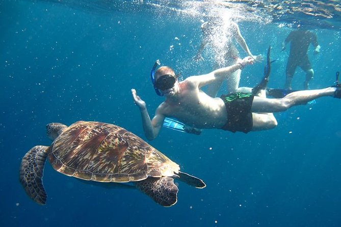 Similan Islands Day Trip by Speedboat From Phuket - Key points to know before you book