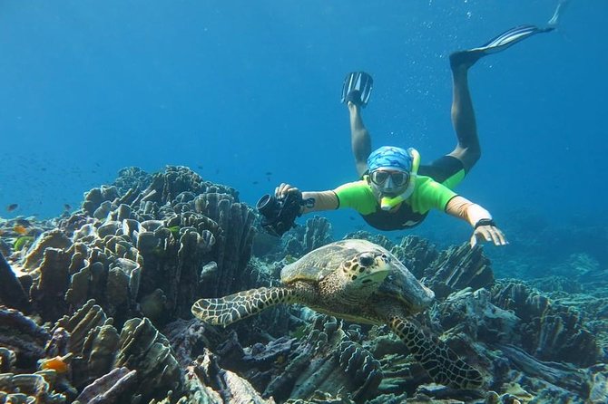 Similan Islands Day Trip by Speedboat From Phuket - Lunch and beach time on Miang Island