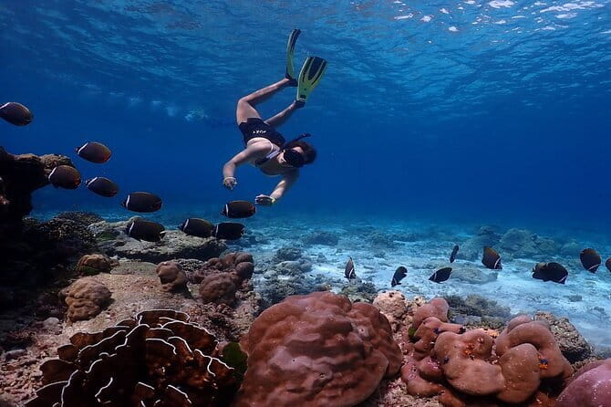 Similan Islands Day Trip from Phuket by Speedboat - A fast ride toward the Similan Islands