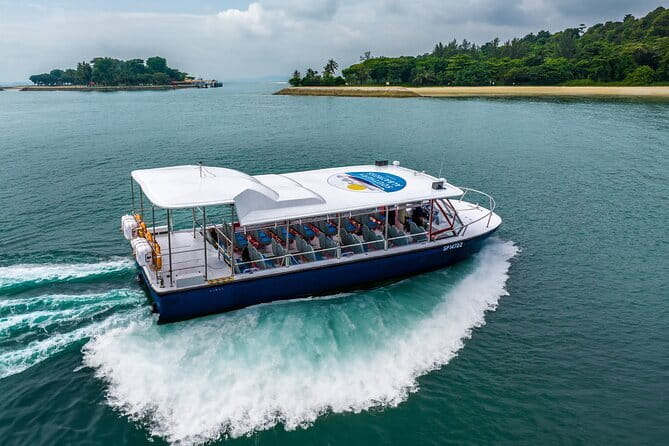 Singapore - Albatross Speedboat Adventures Cruising in Sentosa - Key points before you book