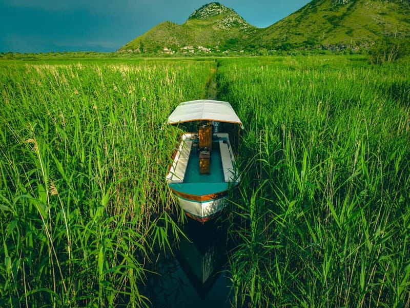 Skadar Lake Virpazar : Speed Boat Special ! - Should you book Falcon Boat Cruise?