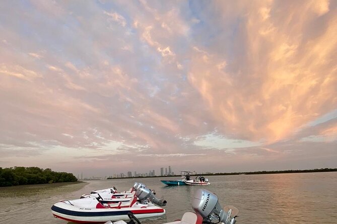 Small-Group Self-Drive Speedboat Tour in Yas Island Mangroves - Peninsula Gold Beach is the tour’s breathing space