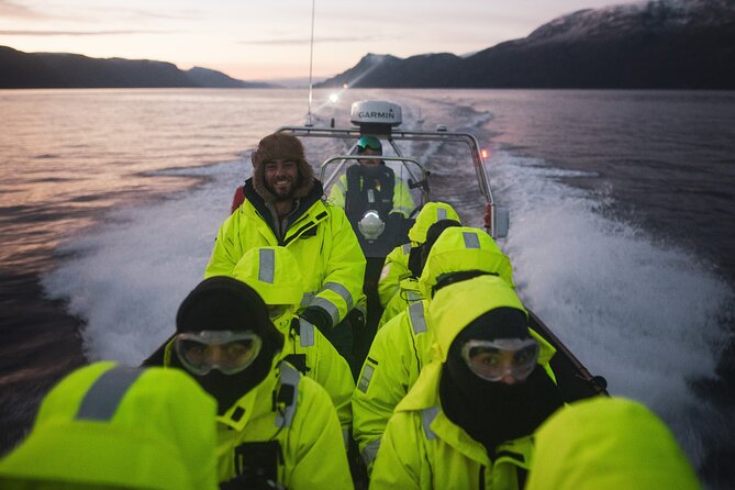Small Group Whale Watching by RIB - Whale watching with a light touch