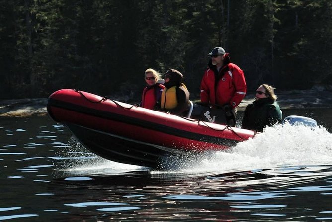 Small-Group Zodiac Wilderness Adventure from Ketchikan - Key points to know before you book