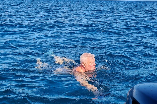 Snorkel with Dolphins, Lunch on Benitiers island, Speedboat - Ile aux Benitiers is the relaxed half of the day