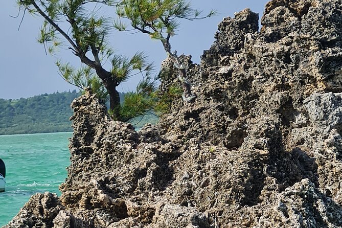 Snorkel with Dolphins, Lunch on Benitiers island, Speedboat - What the $64.79 price really covers