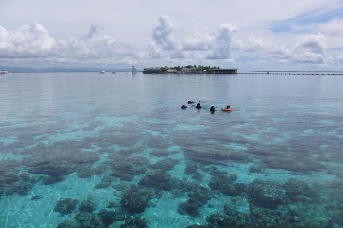 Snorkeling at San Vicente with speed boat - What you may see below the surface