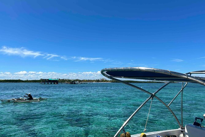 Snorkeling at San Vicente with speed boat - San Vicente or Nalusuan Island?