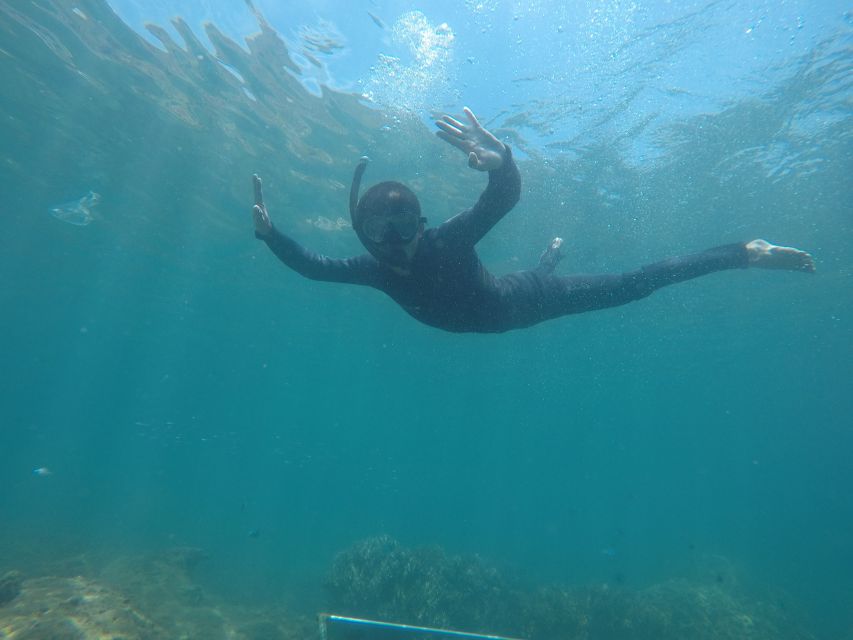 Snorkeling Cham Island: Snorkeling Tour by Speed Boat - Who will enjoy this Cham Island day trip