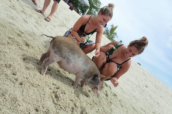 Snorkeling & Kayaking Trip at Koh Madsum and Koh Tan By Speedboat From Koh Samui - The guide and the group experience