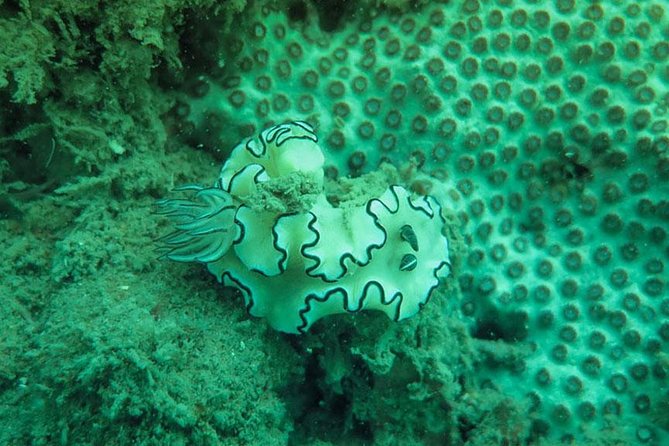 Snorkeling Tour to 4 Islands(Emerald Cave) From Koh Lanta by Speedboat - Practical packing advice for the boat