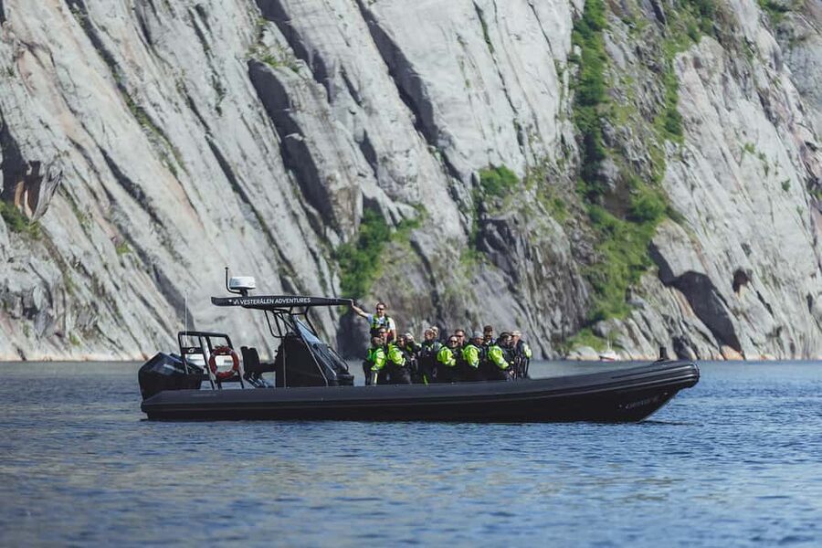 Sortland: Trollfjord RIB Boat Tour - Key points to know before booking