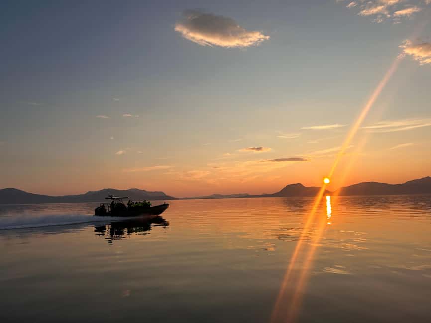 Sortland: Trollfjord RIB Boat Tour - Why Trollfjord makes a strong RIB destination
