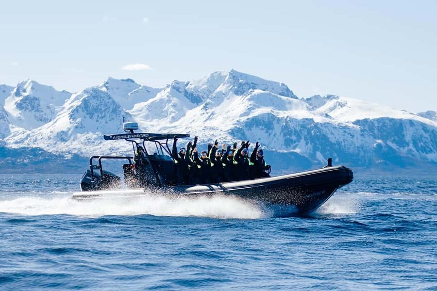 Sortland: Trollfjord RIB Boat Tour - Through Raftsundet beside Hinnøya