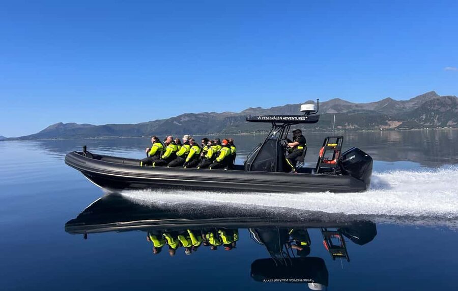 Sortland: Trollfjord RIB Boat Tour - Entering the 100-meter-wide Trollfjord