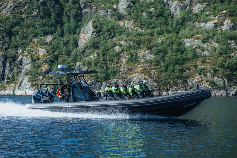 Sortland: Trollfjord RIB Boat Tour - Watching for Norway’s largest bird of prey