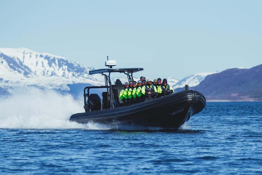 Sortland: Trollfjord RIB Boat Tour - What your $227 includes, and what it does not