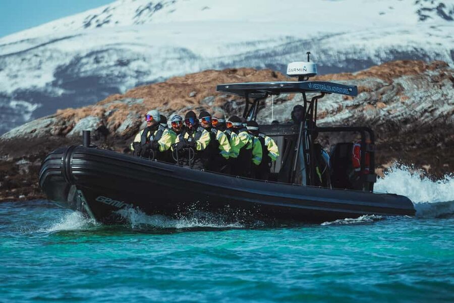 Sortland: Trollfjord RIB Boat Tour - Meeting in Sortland, the Blue City