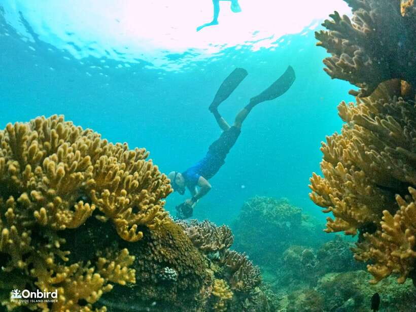 South Phu Quoc: Pro Snorkeling Tour by Speedboat - Key points at a glance