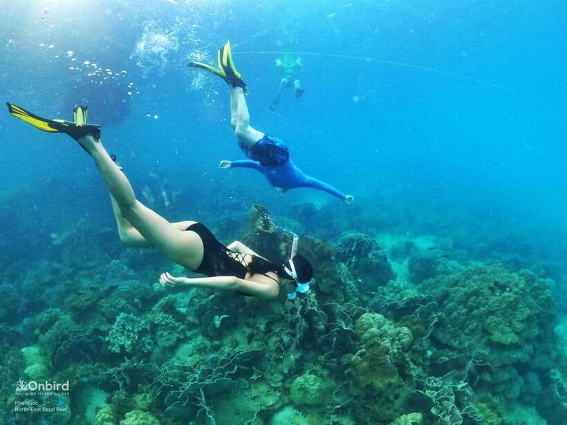 South Phu Quoc: Pro Snorkeling Tour by Speedboat - Two coral sites chosen for the day