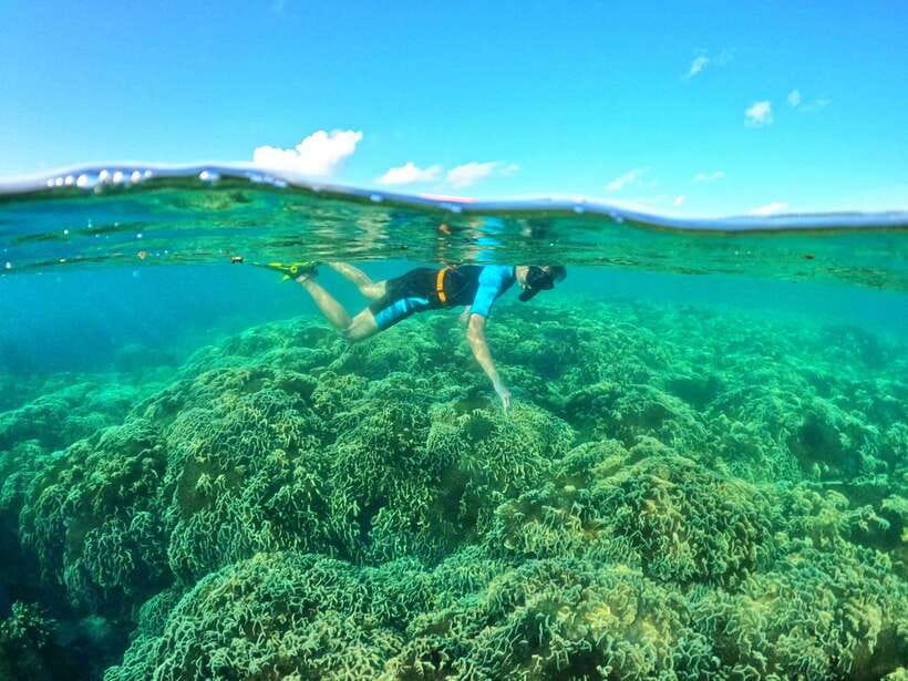 South Phu Quoc: Pro Snorkeling Tour by Speedboat - What the underwater time is really worth