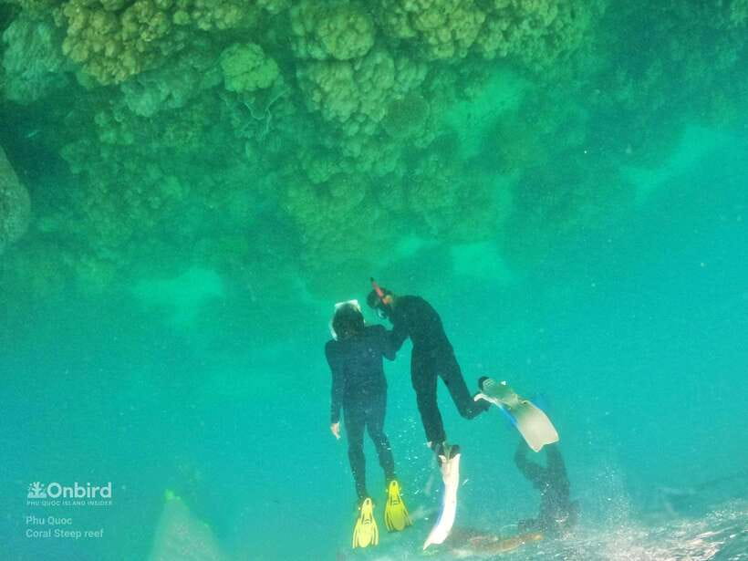 South Phu Quoc: Pro Snorkeling Tour by Speedboat - Equipment, instruction, and reef care