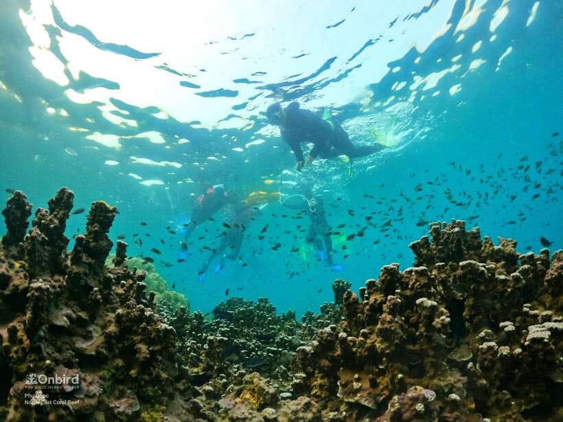 South Phu Quoc: Pro Snorkeling Tour by Speedboat - Who should book this experience