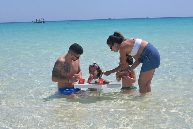 Speed Boat 4 Hours Swim Dolphin, Orange Island ,Snorkeling - Dolphins and the limits of wildlife promises