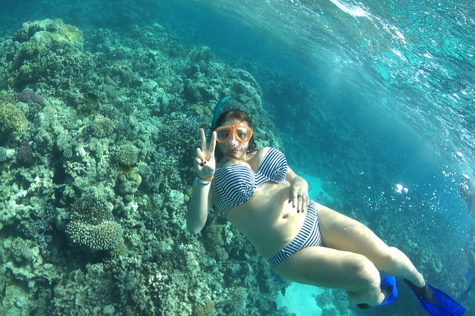 Speed Boat Abo Munkar Island & Water Sport Semi Private-Hurghada - The Red Sea ride sets the mood