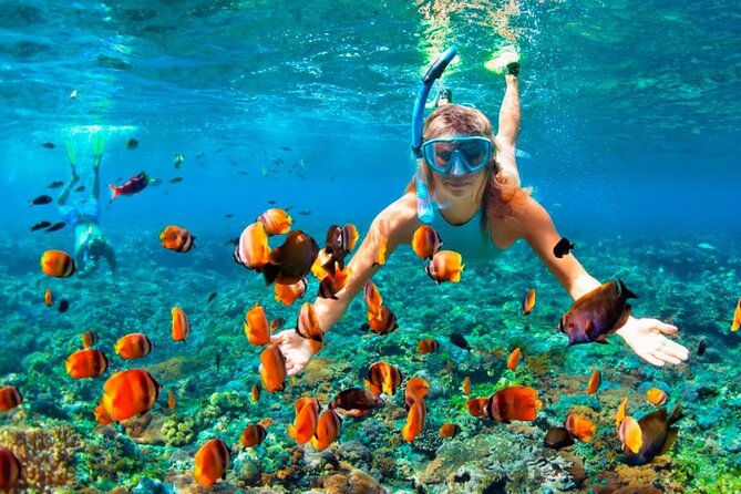 Speed Boat Adventure In Punta Cana - Snorkeling Among Tropical Fish and Coral