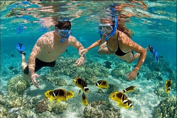 Speed Boat and Snorkel Adventure from Punta Cana - What resort pickup adds to the price