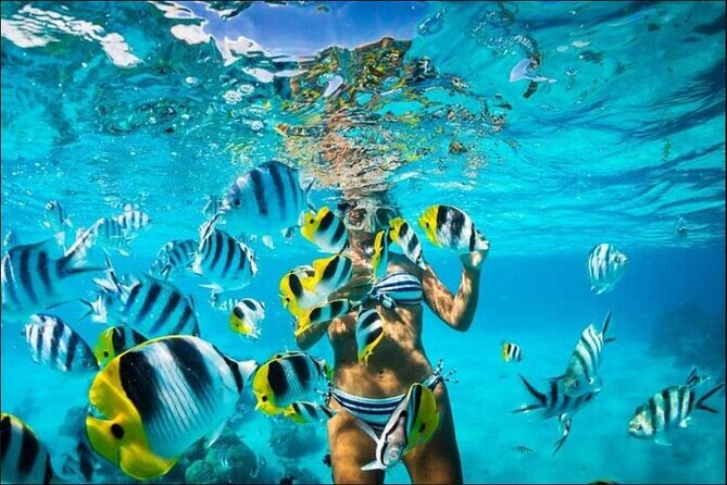 Speed Boat and Snorkel Adventure from Punta Cana - Group size, sound, and the feel of the outing