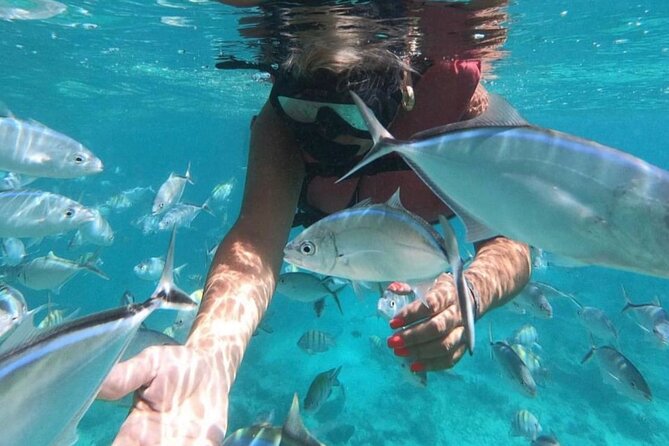 Speed Boat and Snorkeling in Punta Cana Bavaro - How private is the experience?