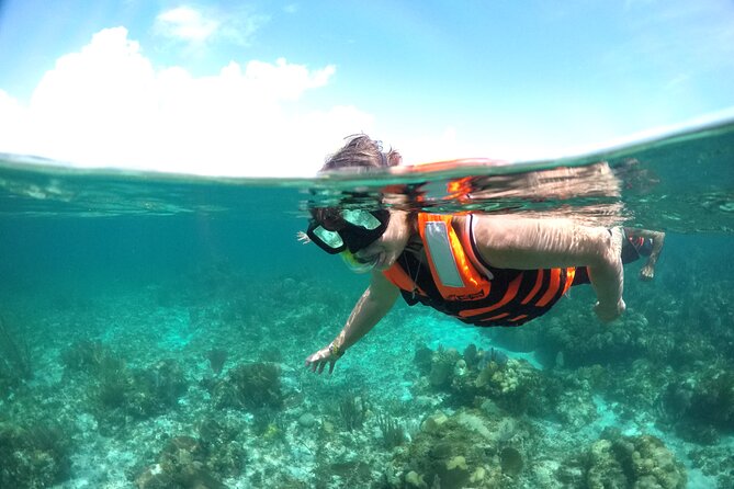 Speed boat aventure and snorkel - Is the speedboat and snorkel tour worth booking?