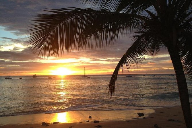 Speed Boat Private Sunset Snorkeling and sightseeing from Samui - Who will get the most from this tour