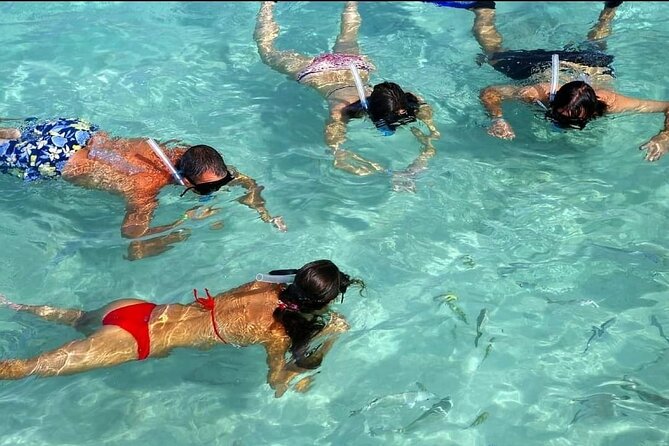 Speed Boat Ride and Snorkel Experience in Punta Cana - Weather, cancellations, and what to pack