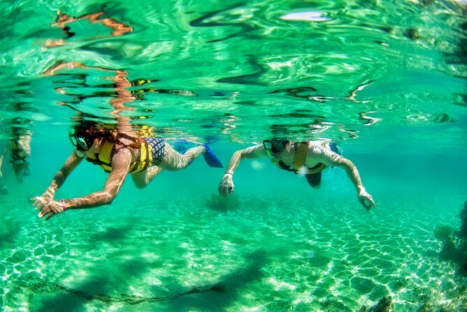 Speedboat across the Mangroves & Snorkel with Jet Ski Rental - Who should book this Cancun water adventure?